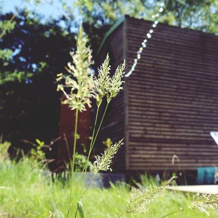 Tiny House Nouvelle Annonce Boho Ocean Hotell Naujac-sur-Mer Exteriör bild